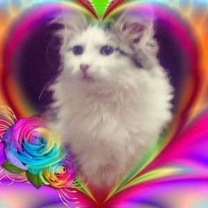 Meet your Posher, Becky